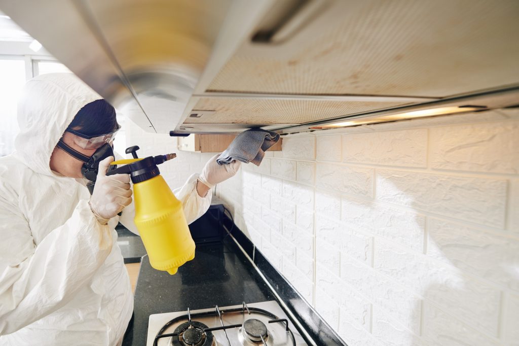 Special Service Cleaning-Pro Kitchen Cleaning